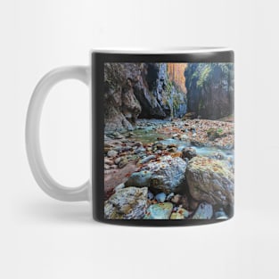 River in limestone canyon Mug